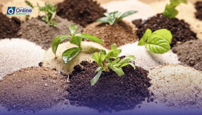 Lesson 13: Osmotic Adjustments in Different Plant Types